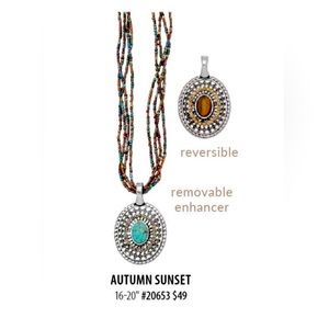 Premier Designs Necklace